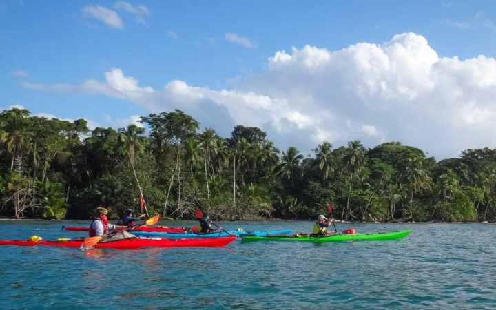 A group of colorful kayaks are paddled by outward bound students on blue, calm water. The shore is lined with trees and the sky above is blue with white clouds.